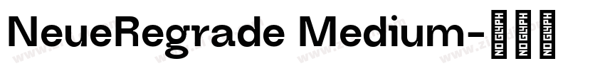 NeueRegrade Medium字体转换